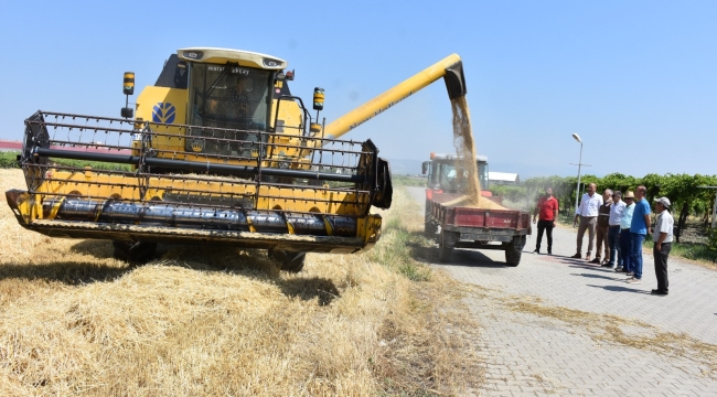 Manisa'da 900.000 dekar alanda buğday ve arpa hasadı başladı