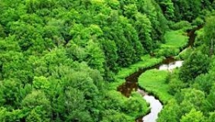 Manisa'da orman alanlarına giriş yasağı getirildi