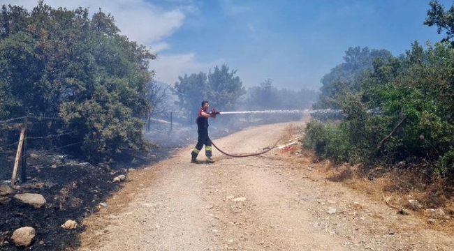 Muğla'da orman yangını