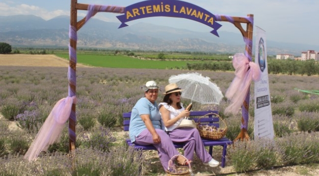 Ooh ova mis gibi lavanta koktu