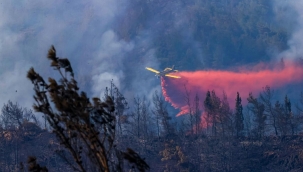 Orman yangın 5 ayrı noktadan ilerliyor