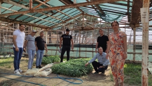 Saruhanlı 'da tohum bankası kuruluyor