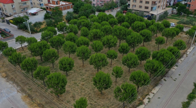 Saruhanlılar yeni parka daha kavuşuyor