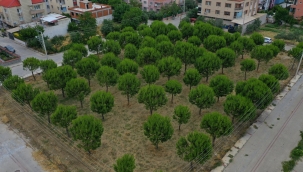 Saruhanlılar yeni parka daha kavuşuyor