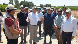 Tarım il müdürü Öztürk zarar gören bağları gezdi