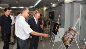 "Uzakdoğu Esintileri" sergisi açıldı