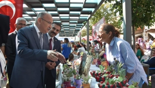 Vali Karadeniz, çilek kültür ve sanat festivaline katıldı