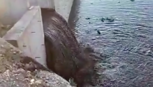 Valilik soruşturma başlattı