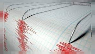 Van depremlerle sallanıyor