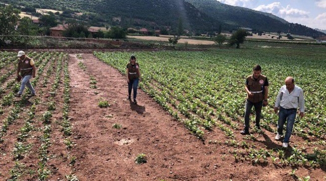 Zarar tespit çalışmaları tamamlandı