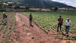 Zarar tespit çalışmaları tamamlandı