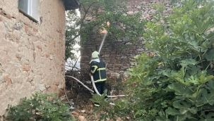 Akhisar'da Orman yangını sürüyor