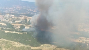 Akhisar-Gördes arasında orman yangını