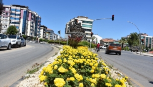 Alaşehir çiçek açtı