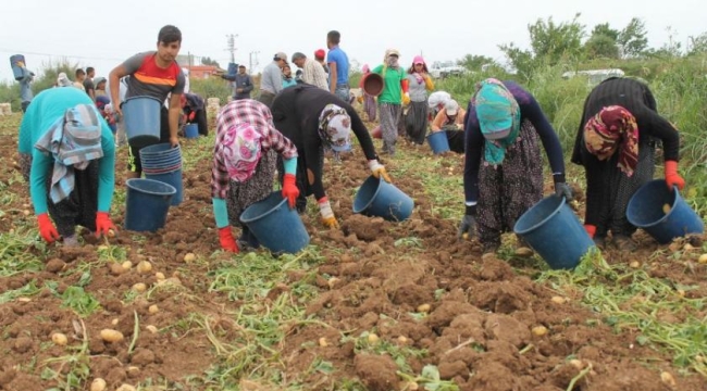 Çalışan 15 milyon sedikalı üye sayısı 2 milyon