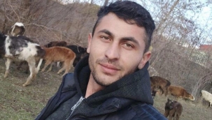 Fırat kalkanı bölgesinde iki asker şehit