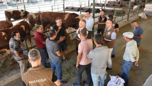 Kurban denetim başladı