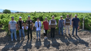 Rekolte tesbit çalışmaları başladı