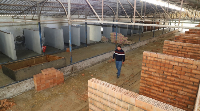 Saruhanlı'da modern hayvan bakımevi yapılıyor
