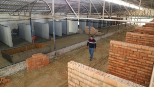 Saruhanlı'da modern hayvan bakımevi yapılıyor