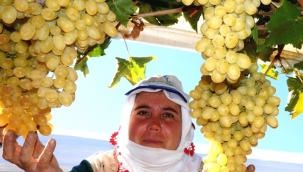  Türkiye'de 5 ile komşu olan tek ilçe Sarıgöl