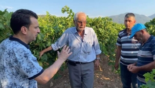 Üzüm üreticisi 25 lira istiyor