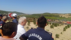 Yangın ormana sıçramadan kontrol altına alındı