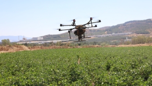 Akhisar Belediyesi arazilerine bu kez pamuk ekti