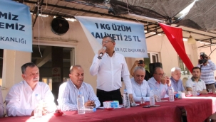 CHP üzüm üreticisinin sesi oldu