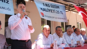 Devlet daha siftah yapmadı,tüccar üzüme 22 Lira verdi