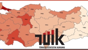 İstanbul hem gelirde hemde gelir eşitsiliğinde ilk sırada
