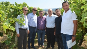 Salihli'de tarla günü