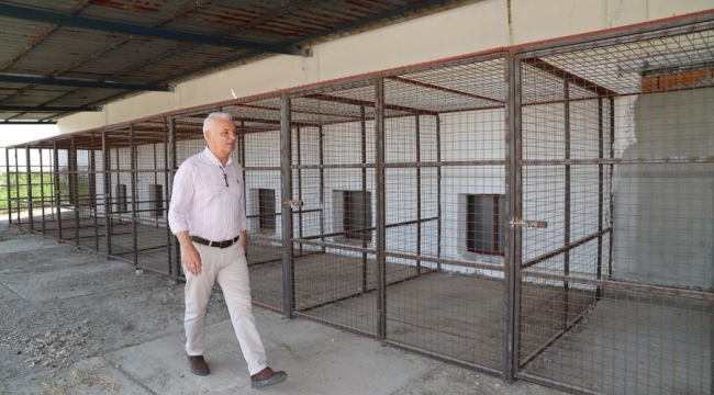 Saruhanlı hayvan bakım evi inşaatı bitti