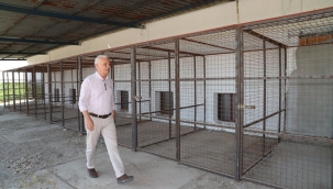 Saruhanlı hayvan bakım evi inşaatı bitti