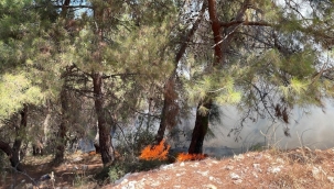 Şehzadeler ve Saruhanlı orman yangını