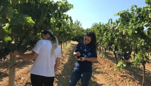 Tarım danışmanları iş başında