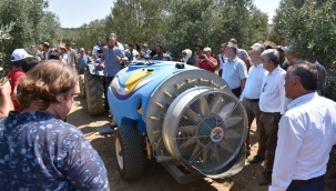Zeytin sineğine karşı 2.655 dekar alanda zehirli yem mücadelesi