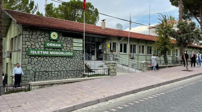 Asırlık ağaçlar kesildi tarihi bina yıkıldı