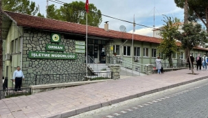 Asırlık ağaçlar kesildi tarihi bina yıkıldı