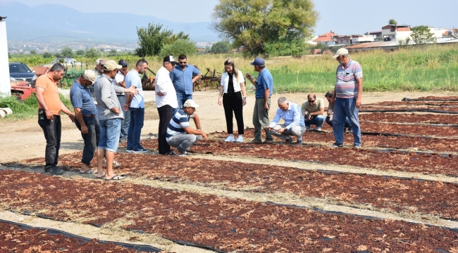 Bağ alanlarında zarar incelemesi