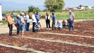 Bağ alanlarında zarar incelemesi