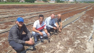 Başkan Çelik,yağıştan zarar gören alanın afet bölgesi ilan edilmesini istedi