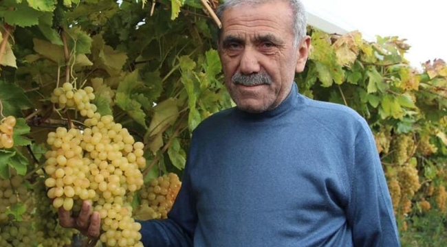 Başkan Ülgen'TMO'da randevular kilitlendi,sıra aralık-şubat' 