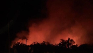 Elazığ'da orman yangını