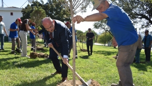 Fidan dikimine vali Karadeniz'de katıldı