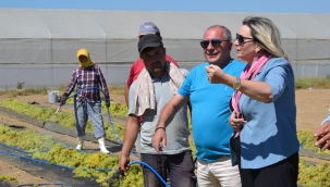 GP il başkanı başkan Yalvaçla üreticileri ziyaret etti