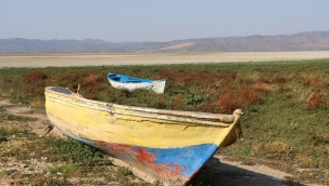 Mahkeme yürütmeyi durdurdu