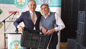 Manisa'da 72 bin zeytin üreticisine kasa desteği