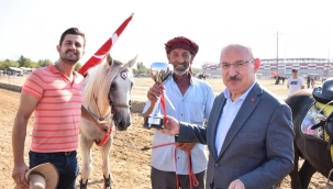 Turgutlu'da rahvan at yarışına 130 at katıldı