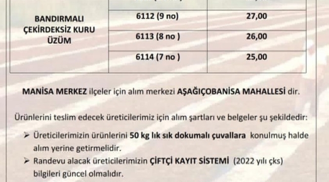 Üreticiler TMO'nun üzüm alım kurallarını ziraat odasına şikayet ettiler